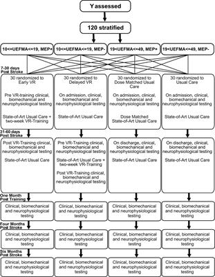 Hand Focused Upper Extremity Rehabilitation in the Subacute Phase Post-stroke Using Interactive Virtual Environments